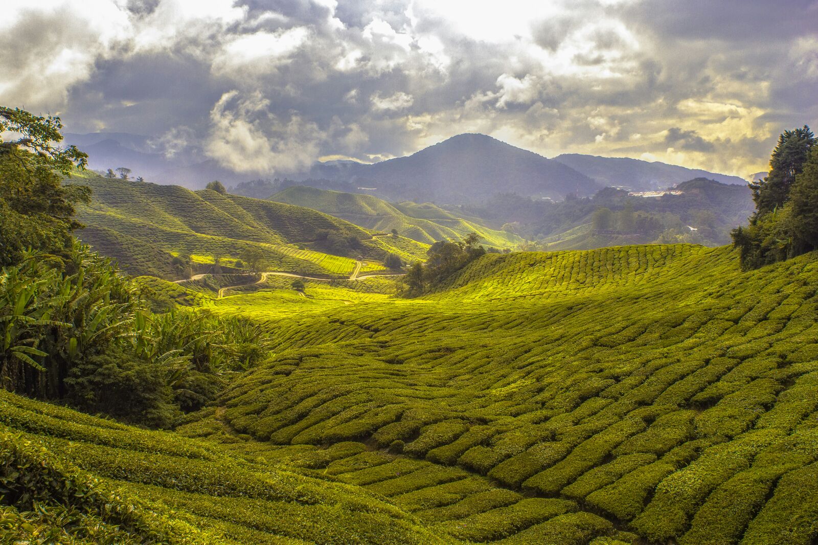 Malaysia road view 1