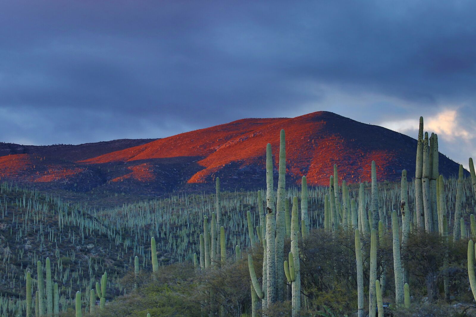 Mexico road view 2