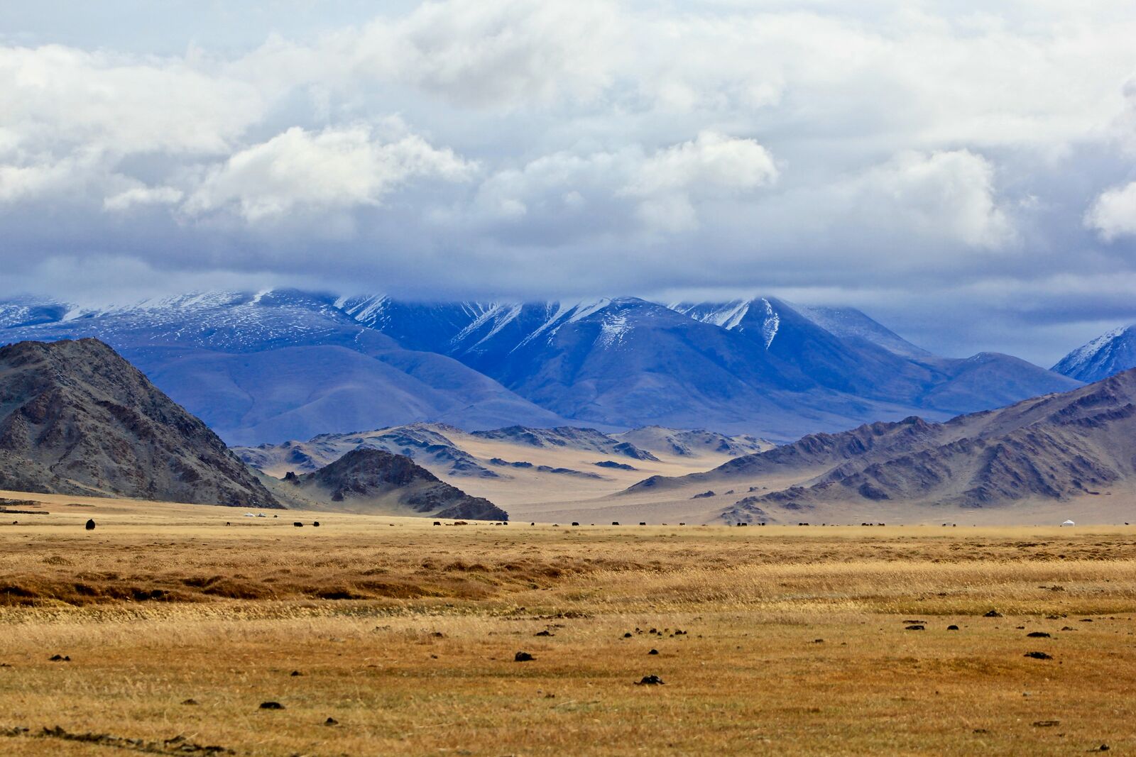 Mongolia road view 1