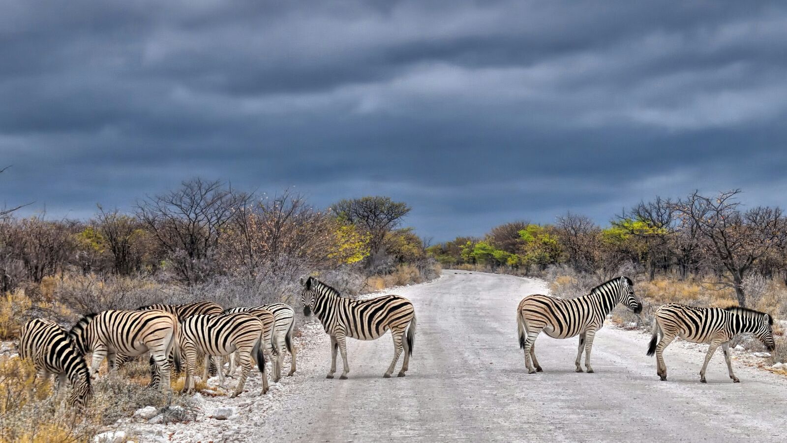 Namibia road view 1