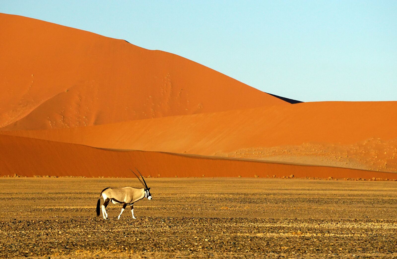 Namibia road view 2