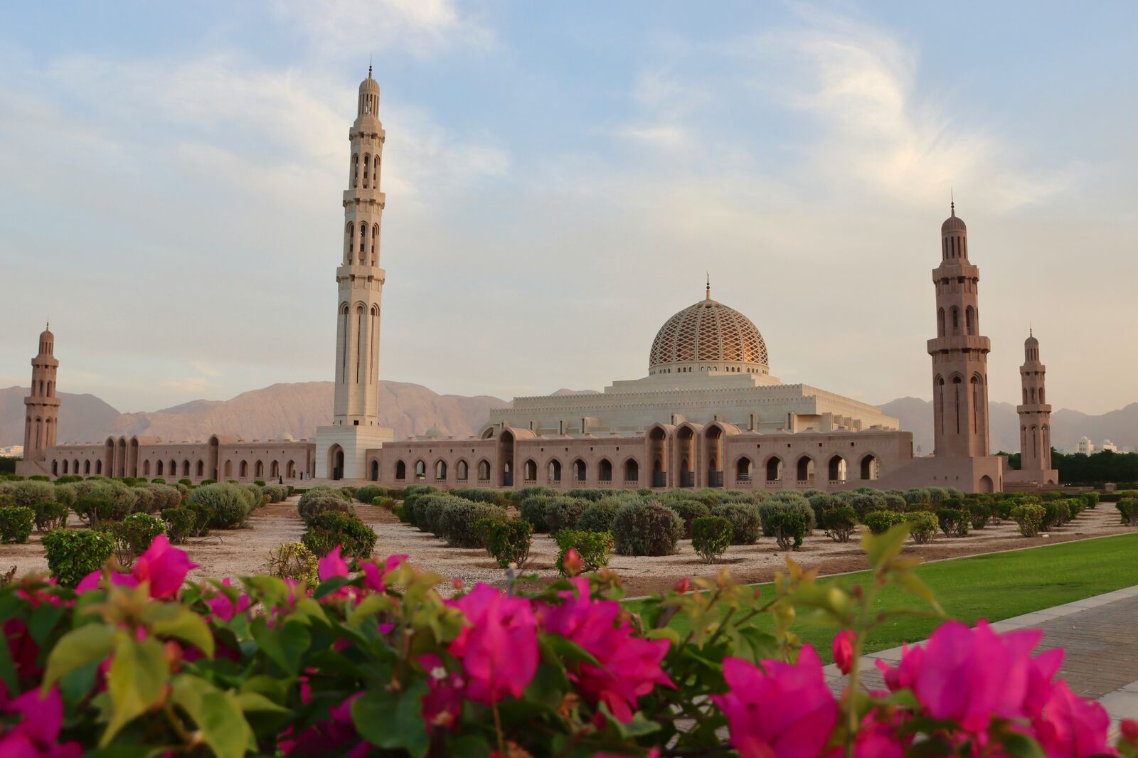 Oman road view 2