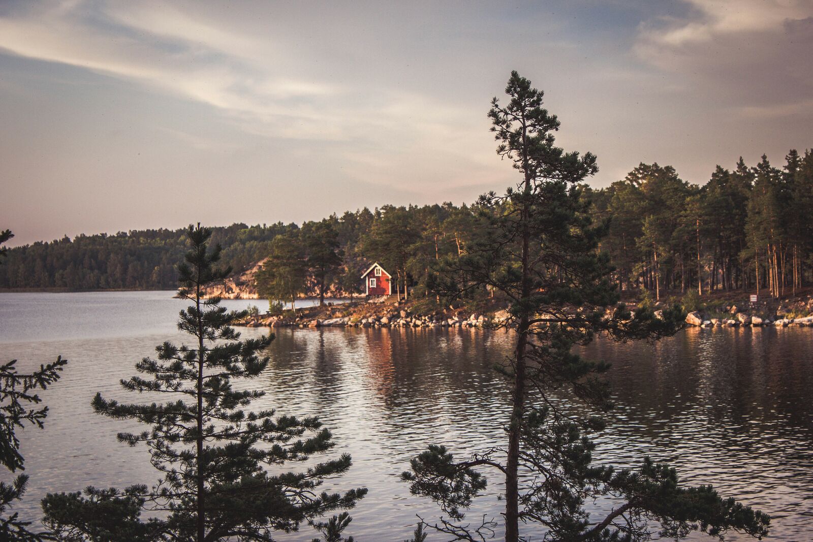 Sweden road view 2