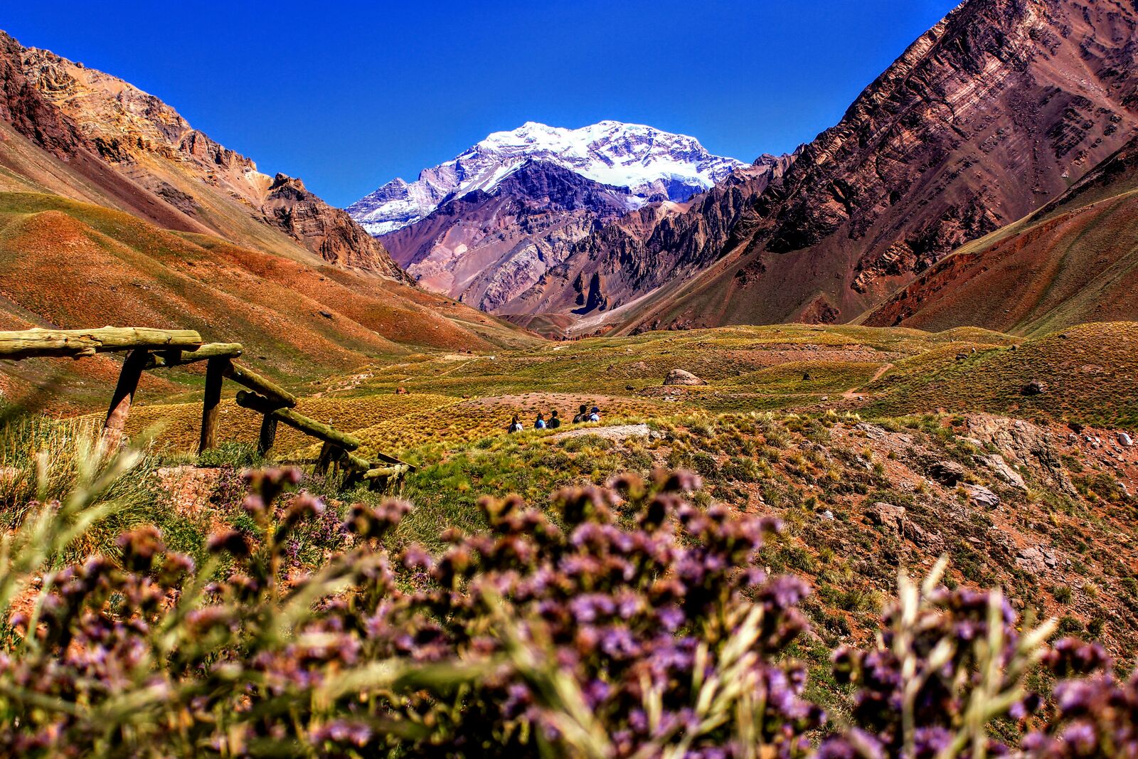 Andes Scenic Mountain Drive scenic driving route in Argentina
