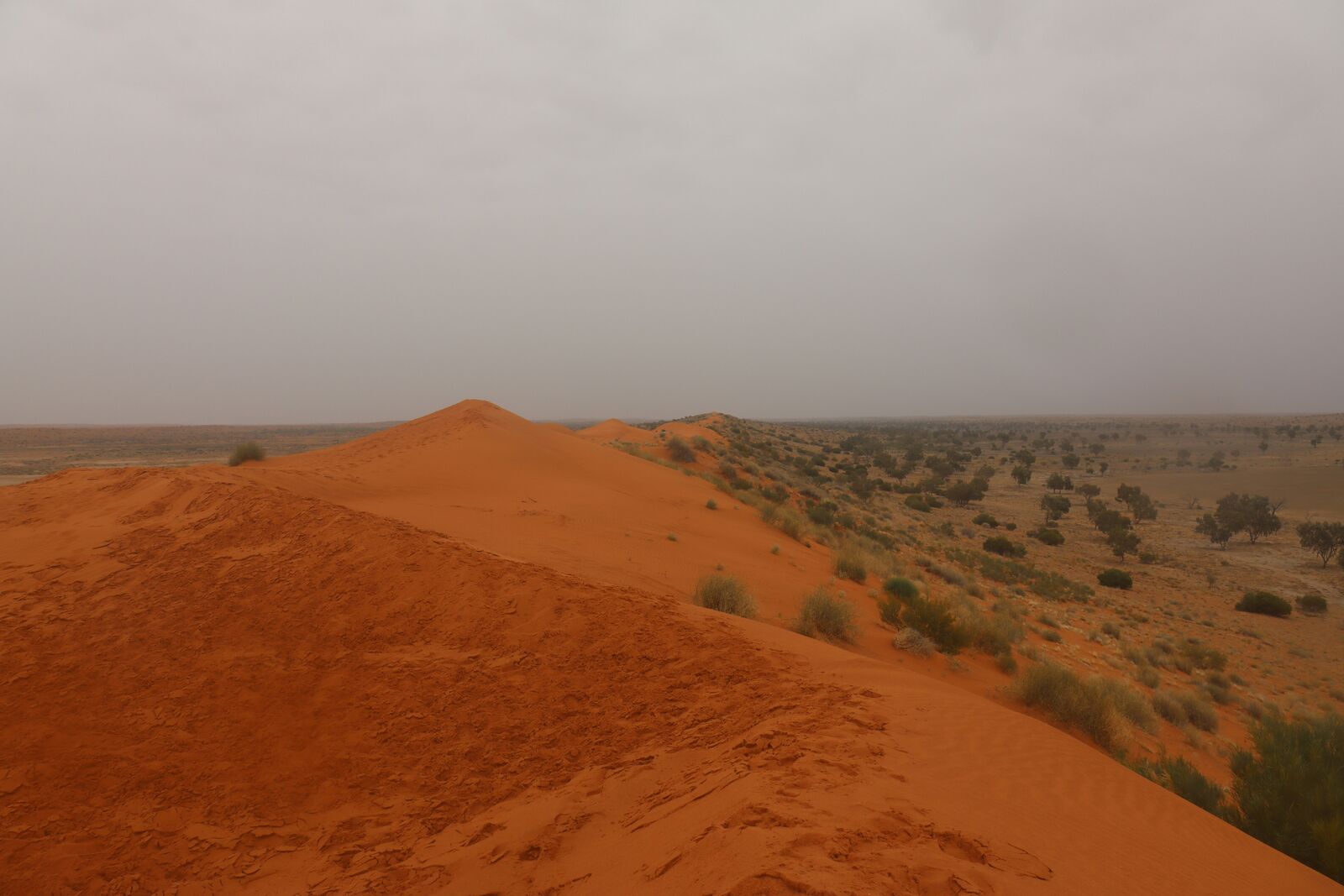 Red Centre Outback Desert Drive scenic driving route in Australia — photo 3
