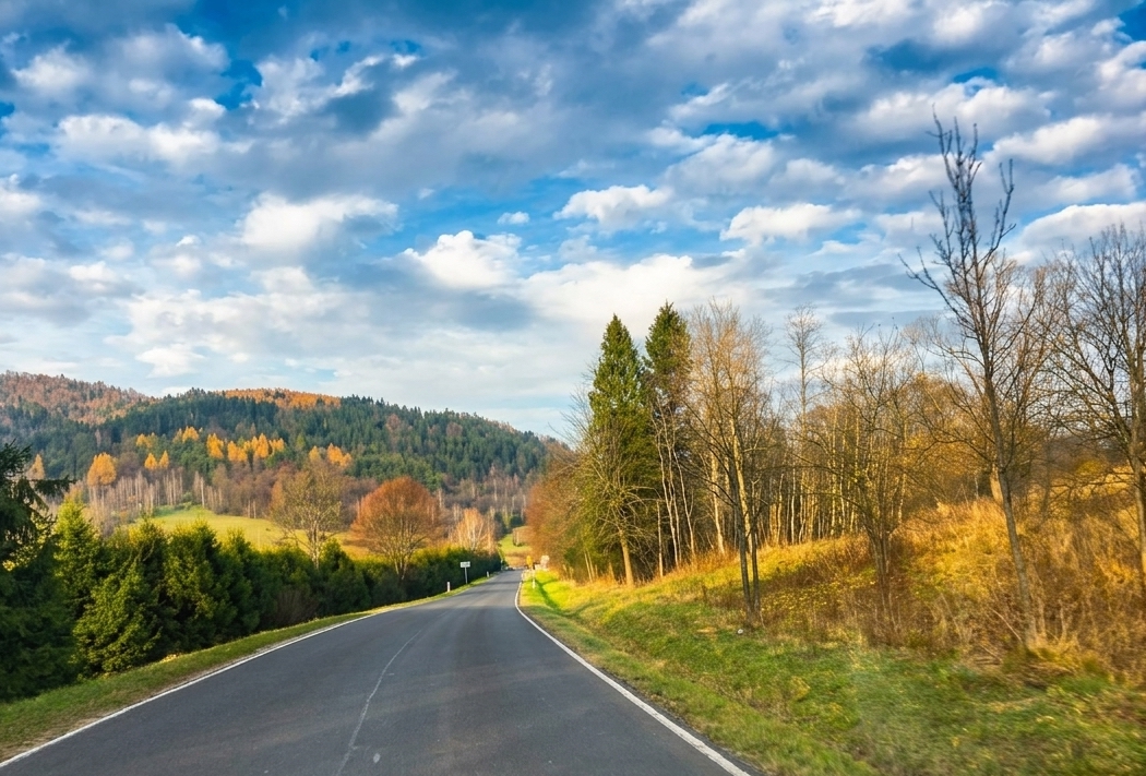 Bieszczady National Park Scenic Loop Drive – Remote Carpathian Wilderness Experience scenic driving route in Poland