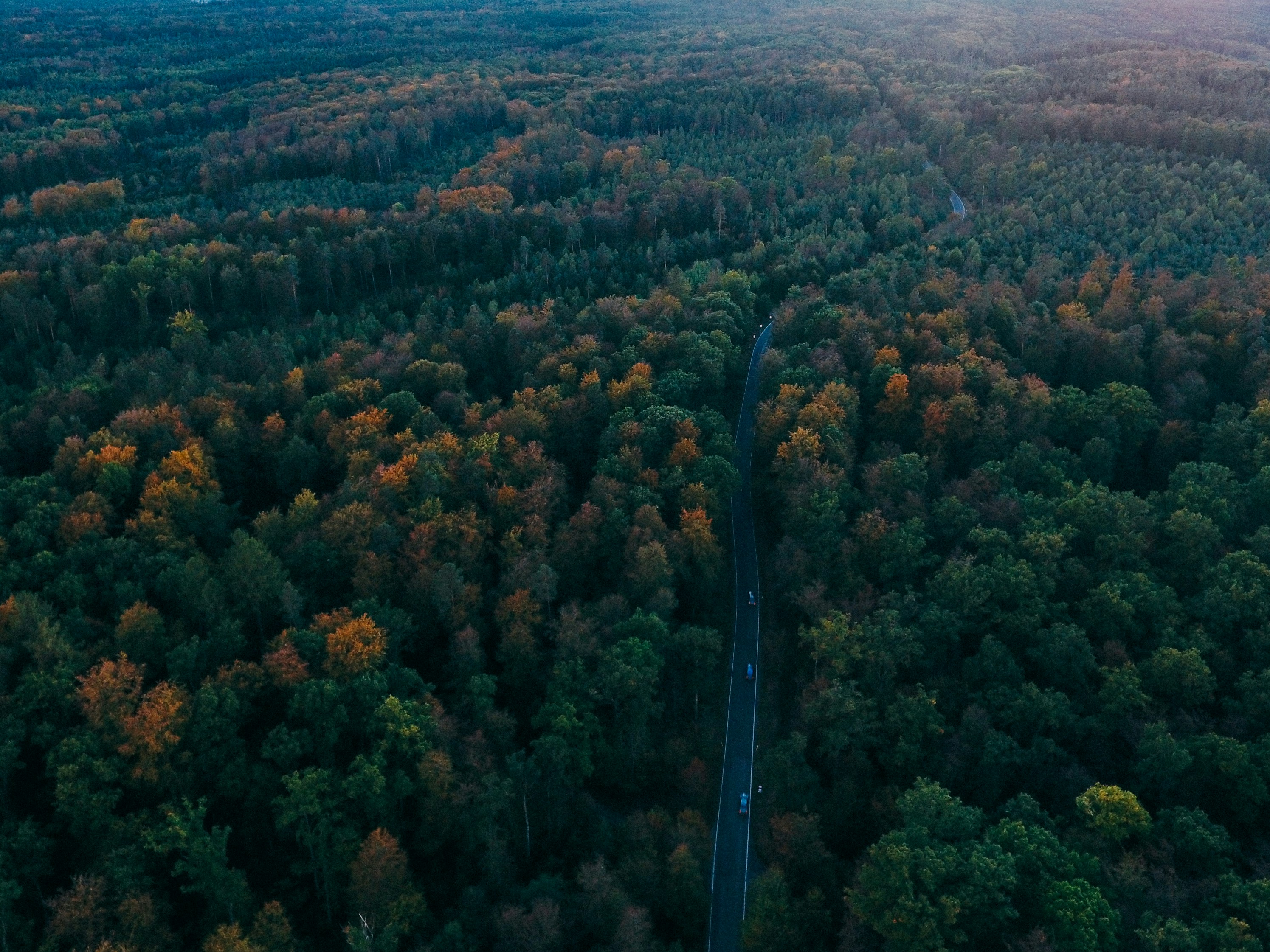 Black Forest Scenic High Road Drive scenic driving route in Germany — photo 3
