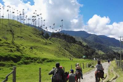 Colombian Coffee Region Scenic Drive