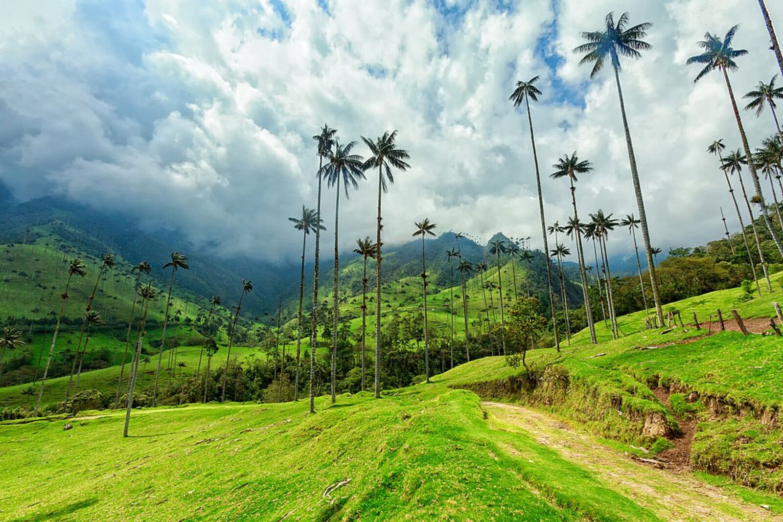 Colombian Coffee Region Scenic Drive scenic driving route in Colombia — photo 2