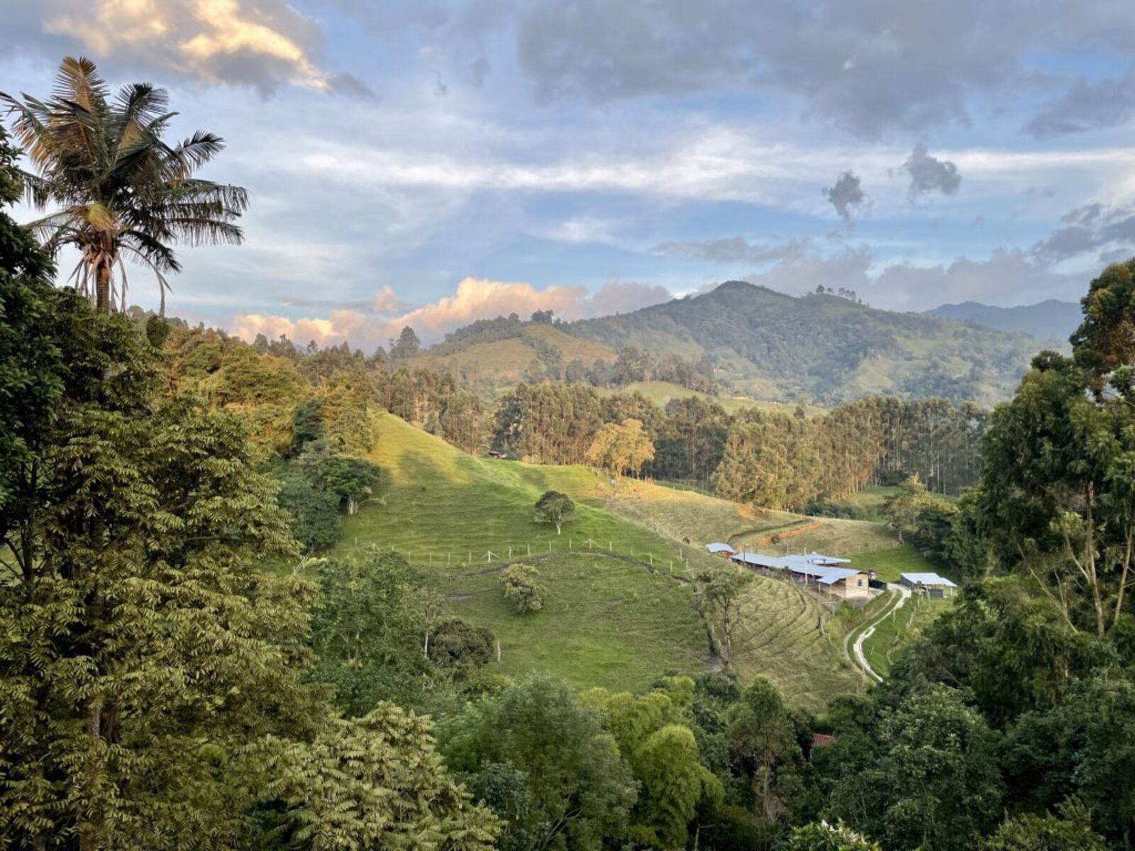 Colombian Coffee Region Scenic Drive scenic driving route in Colombia — photo 3