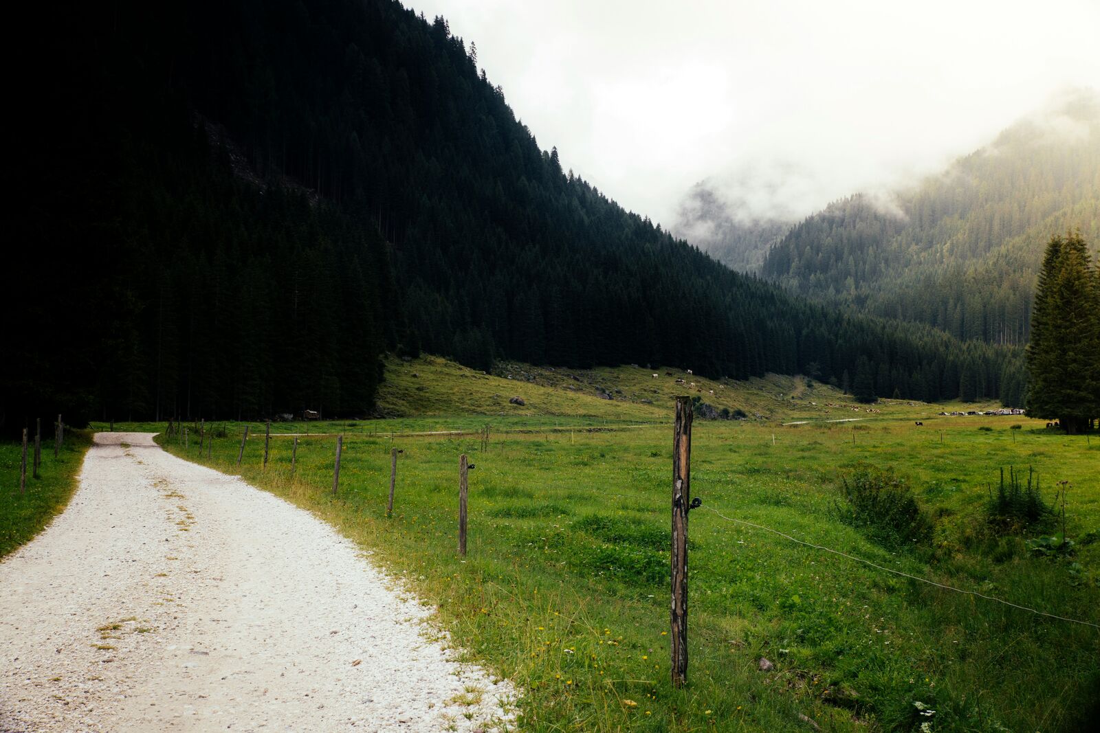 Dolomites Mountain Scenic Drive scenic driving route in Italy — photo 3