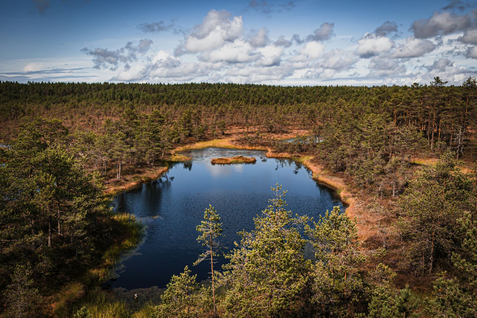 Lahemaa National Park Scenic Coastal Drive scenic driving route in Estonia — photo 2
