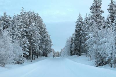Lapland Arctic Scenic Winter Drive