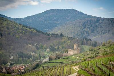 Alsace Wine Route Scenic Drive