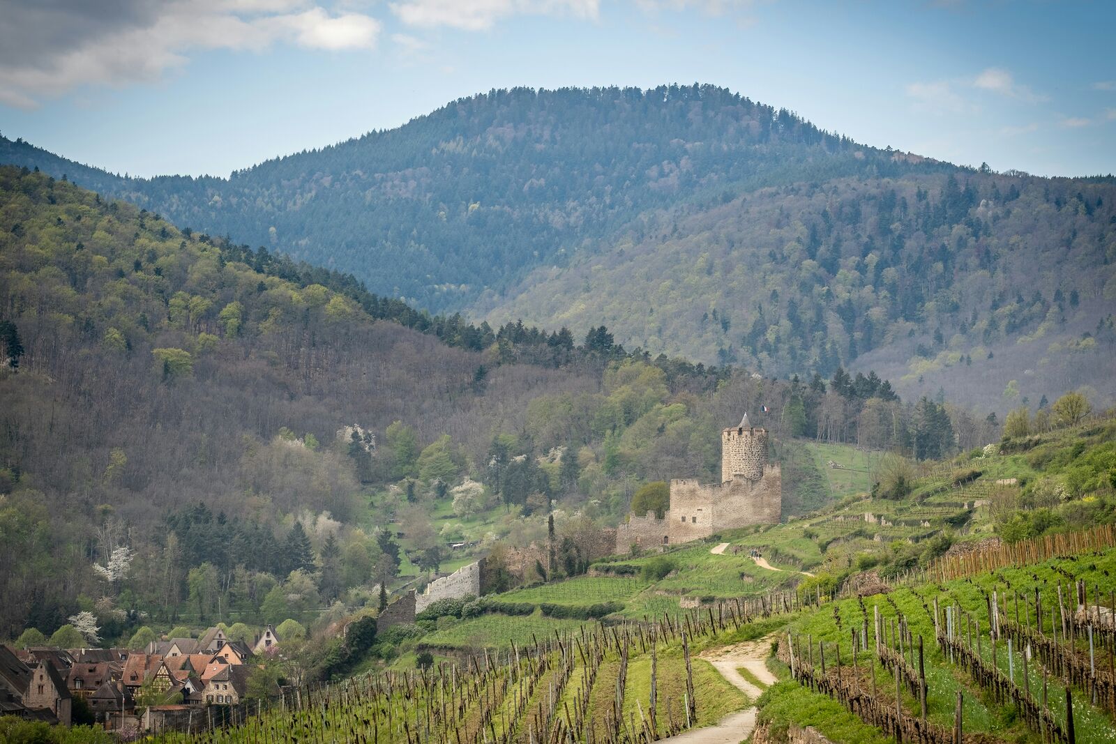 Alsace Wine Route Scenic Drive scenic driving route in France