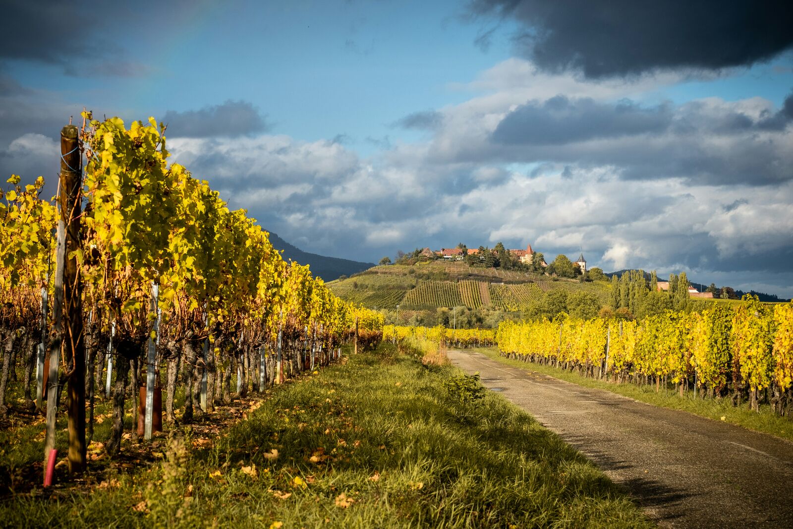 Alsace Wine Route Scenic Drive scenic driving route in France — photo 2