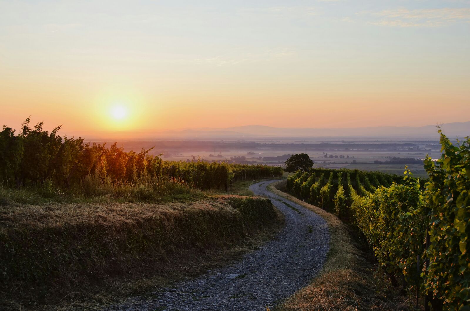 Alsace Wine Route Scenic Drive scenic driving route in France — photo 3