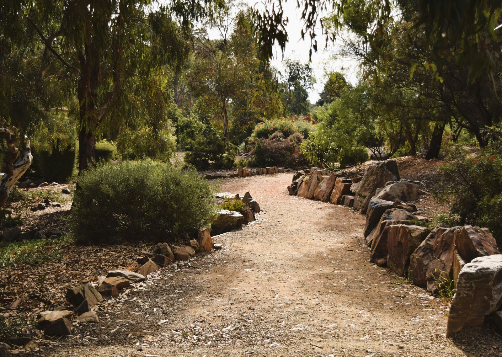 Tasmania Wilderness Scenic Drive scenic driving route in Australia