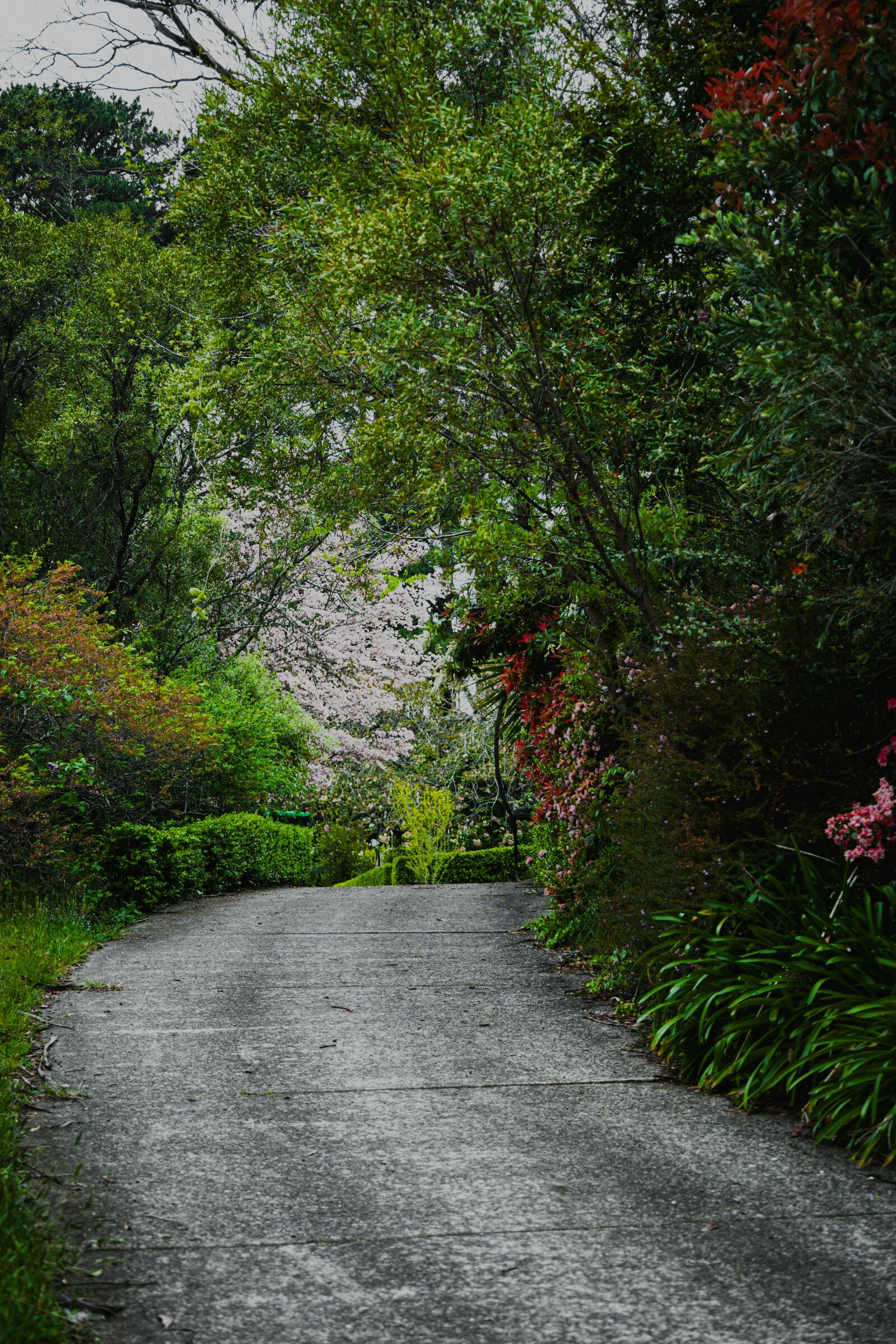 Tasmania Wilderness Scenic Drive scenic driving route in Australia — photo 3