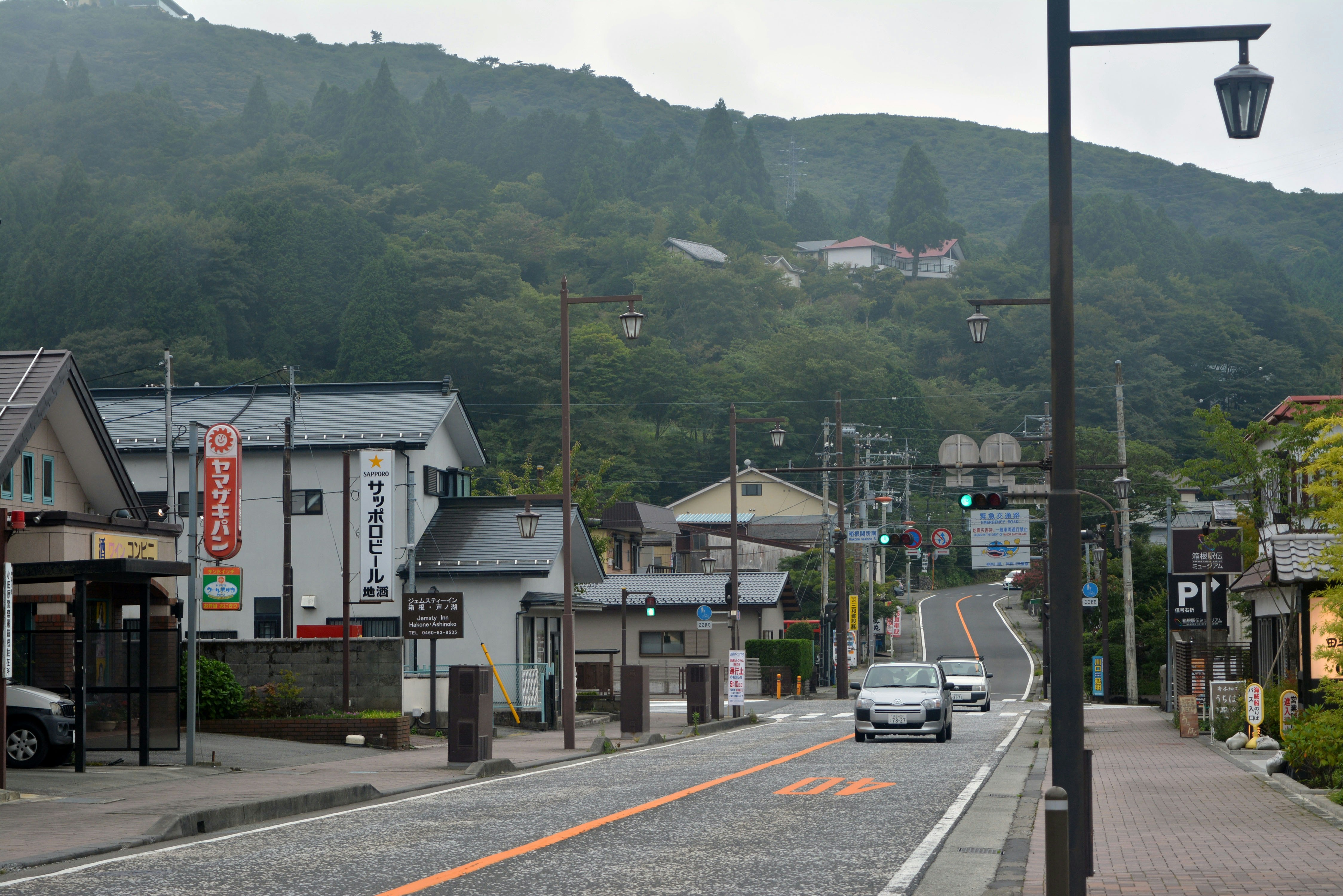 Hakone Volcano Scenic Loop Drive scenic driving route in Japan — photo 3