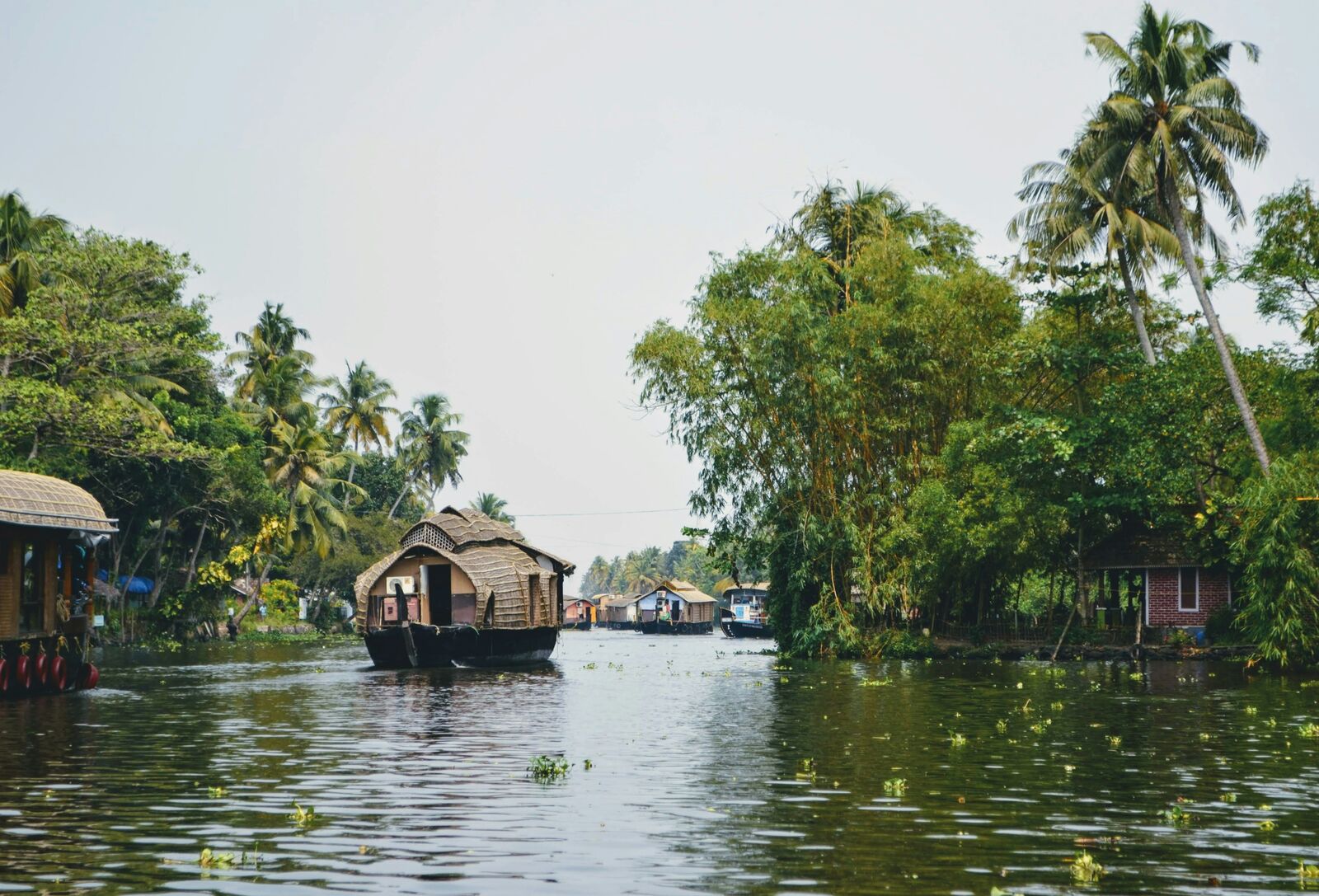 Kerala Backwaters Scenic Drive scenic driving route in India — photo 2