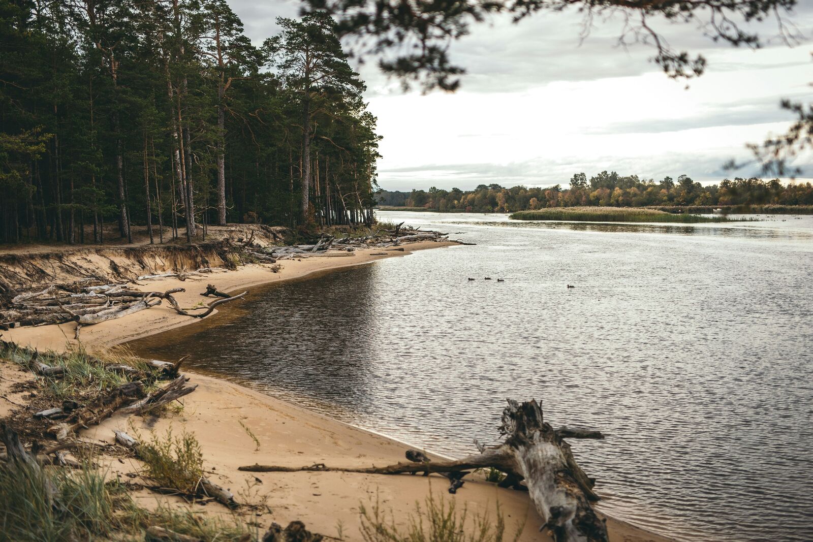 Gauja Valley Scenic Nature Drive scenic driving route in Latvia
