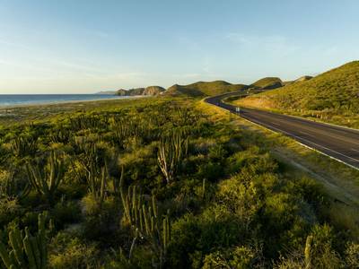 Baja California Desert Coastal Scenic Road Trip