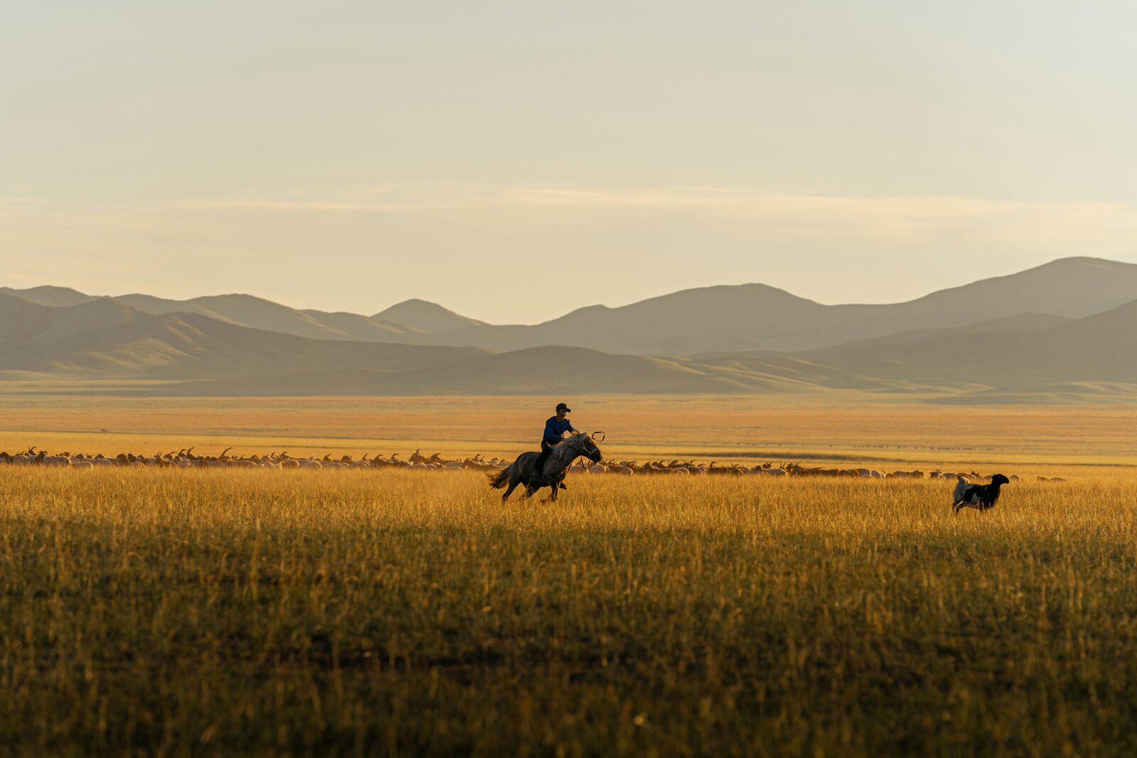 Mongolia Central Steppe Scenic Highway Route (Ulaanbaatar Corridor) scenic driving route in Mongolia — photo 2