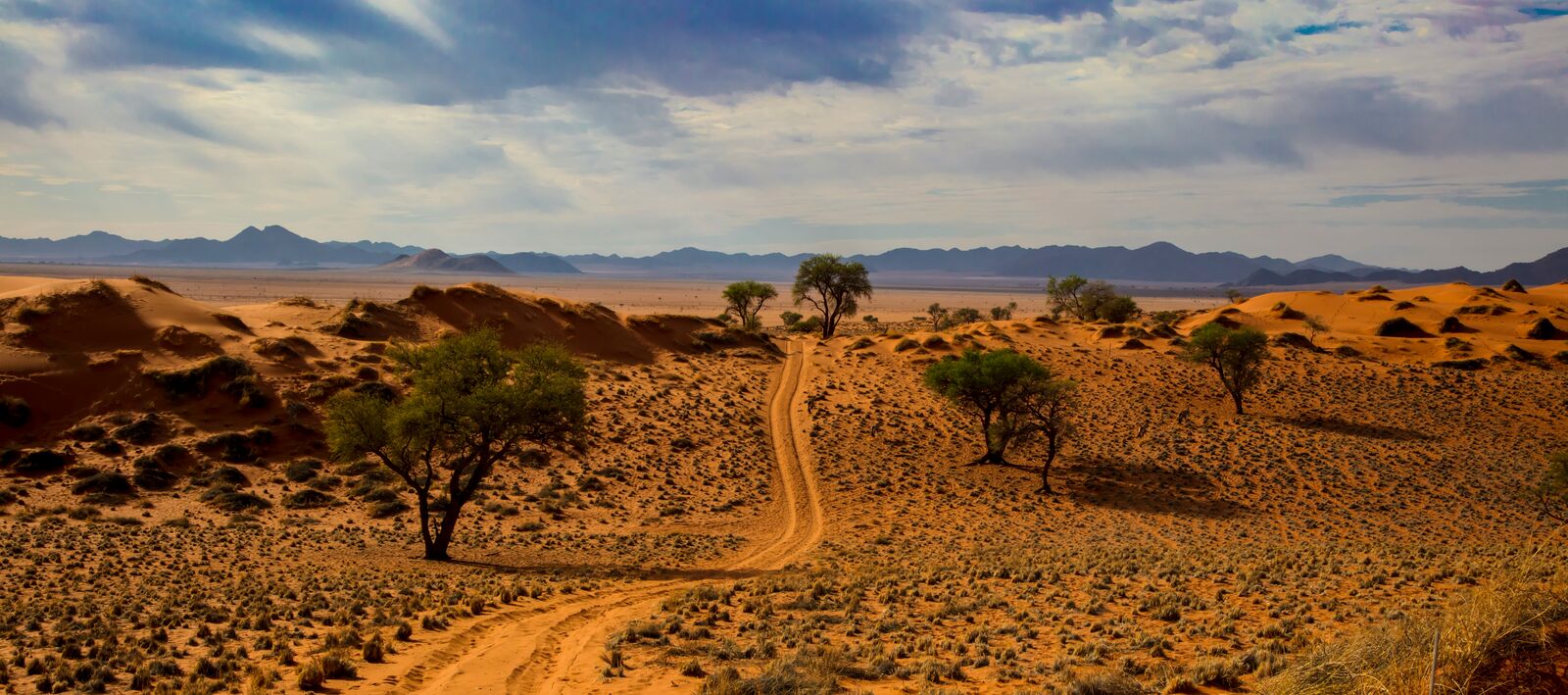 Namib Desert Dune Scenic Drive scenic driving route in Namibia