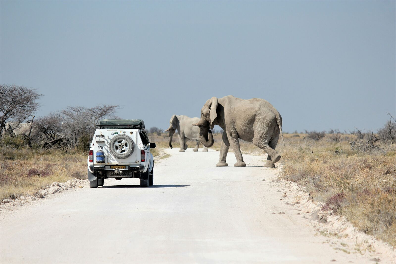 Namib Desert Dune Scenic Drive scenic driving route in Namibia — photo 3