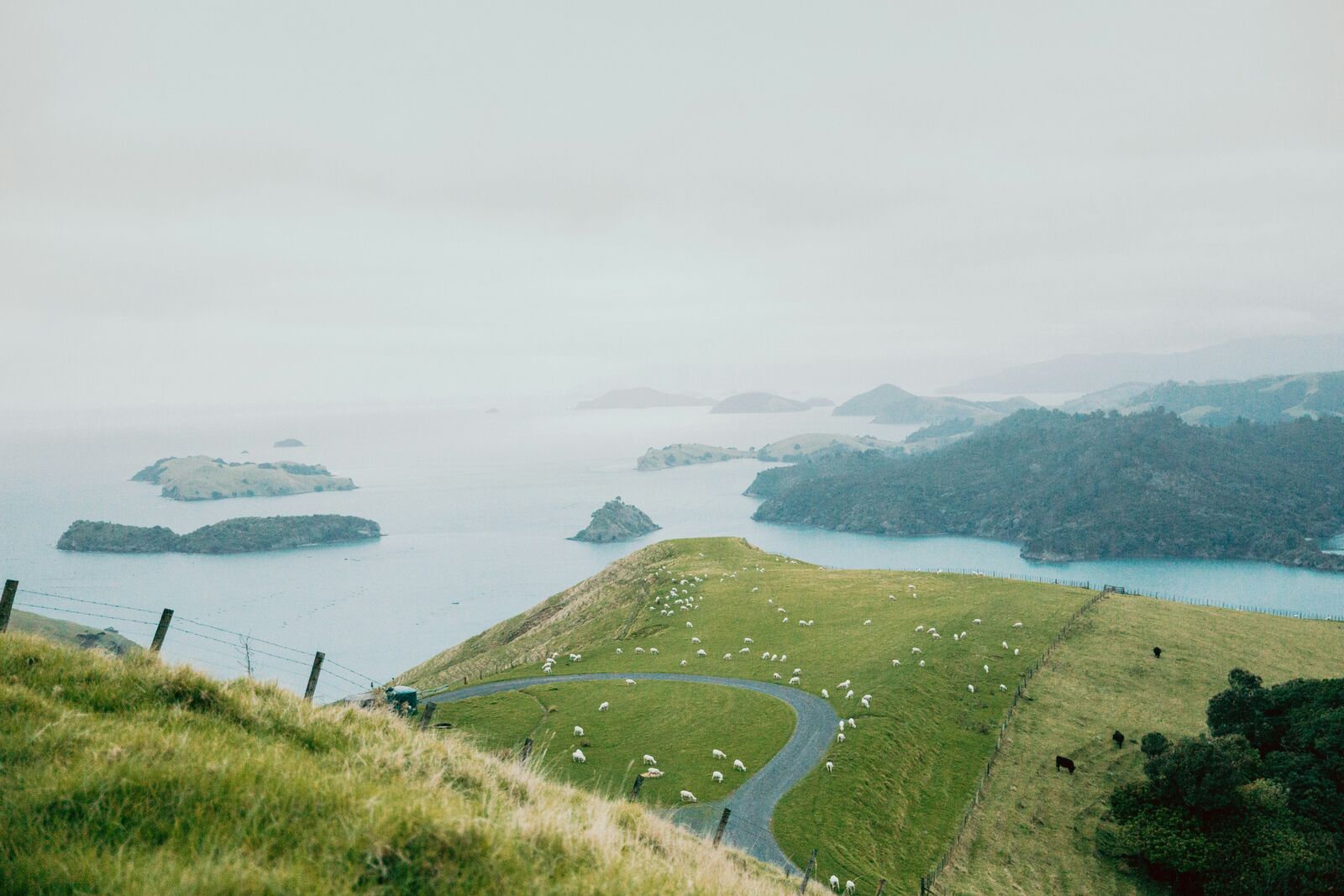 North Island Scenic Loop Drive scenic driving route in New Zealand — photo 2