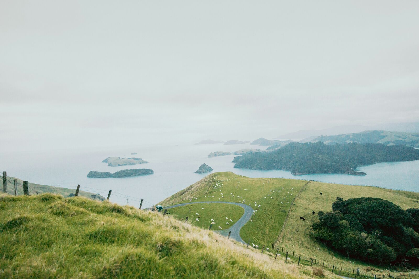 North Island Scenic Loop Drive scenic driving route in New Zealand — photo 3