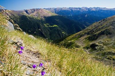 Pyrenees Alpine Scenic Drive