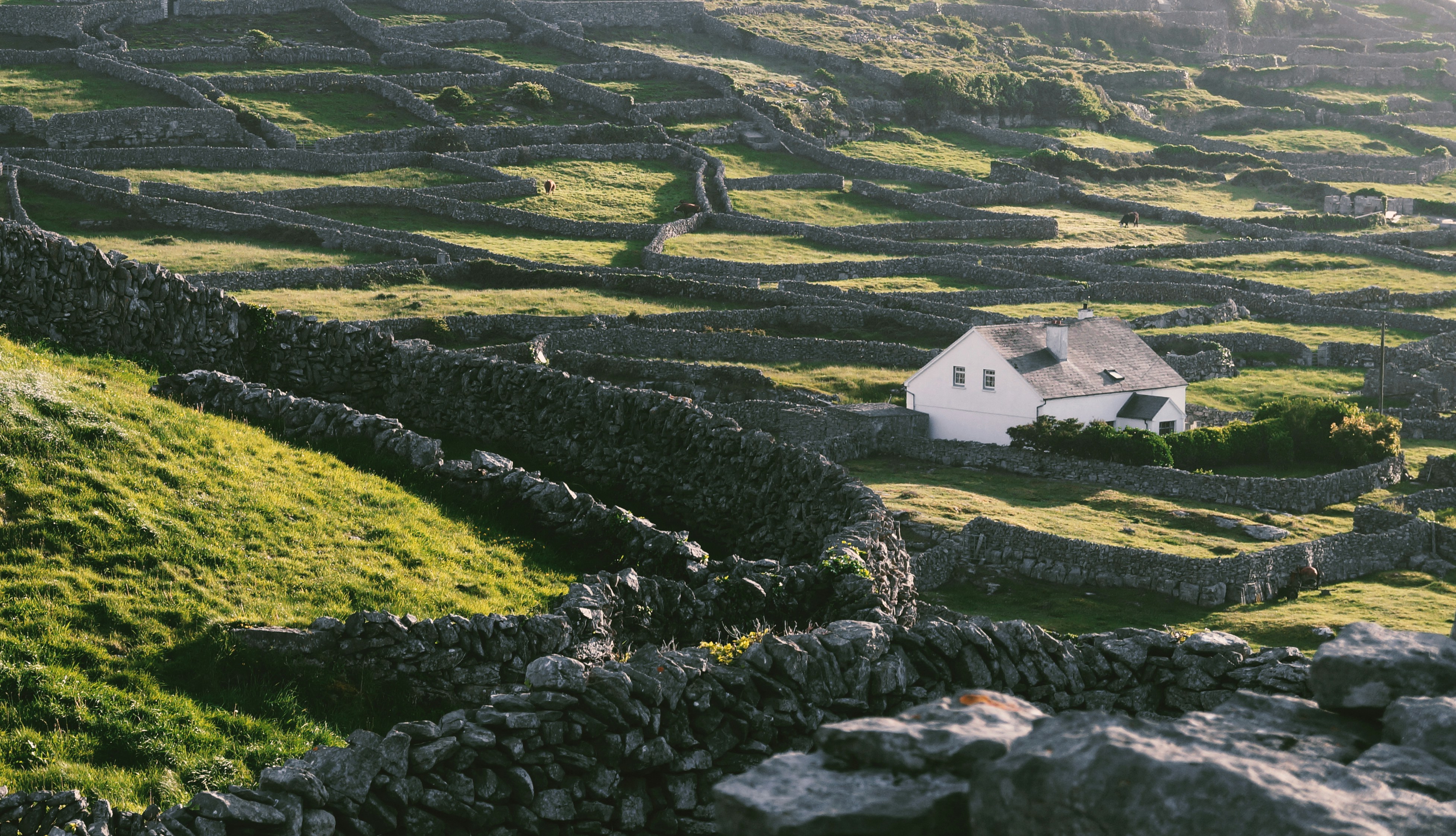Ring of Beara scenic driving route in Ireland