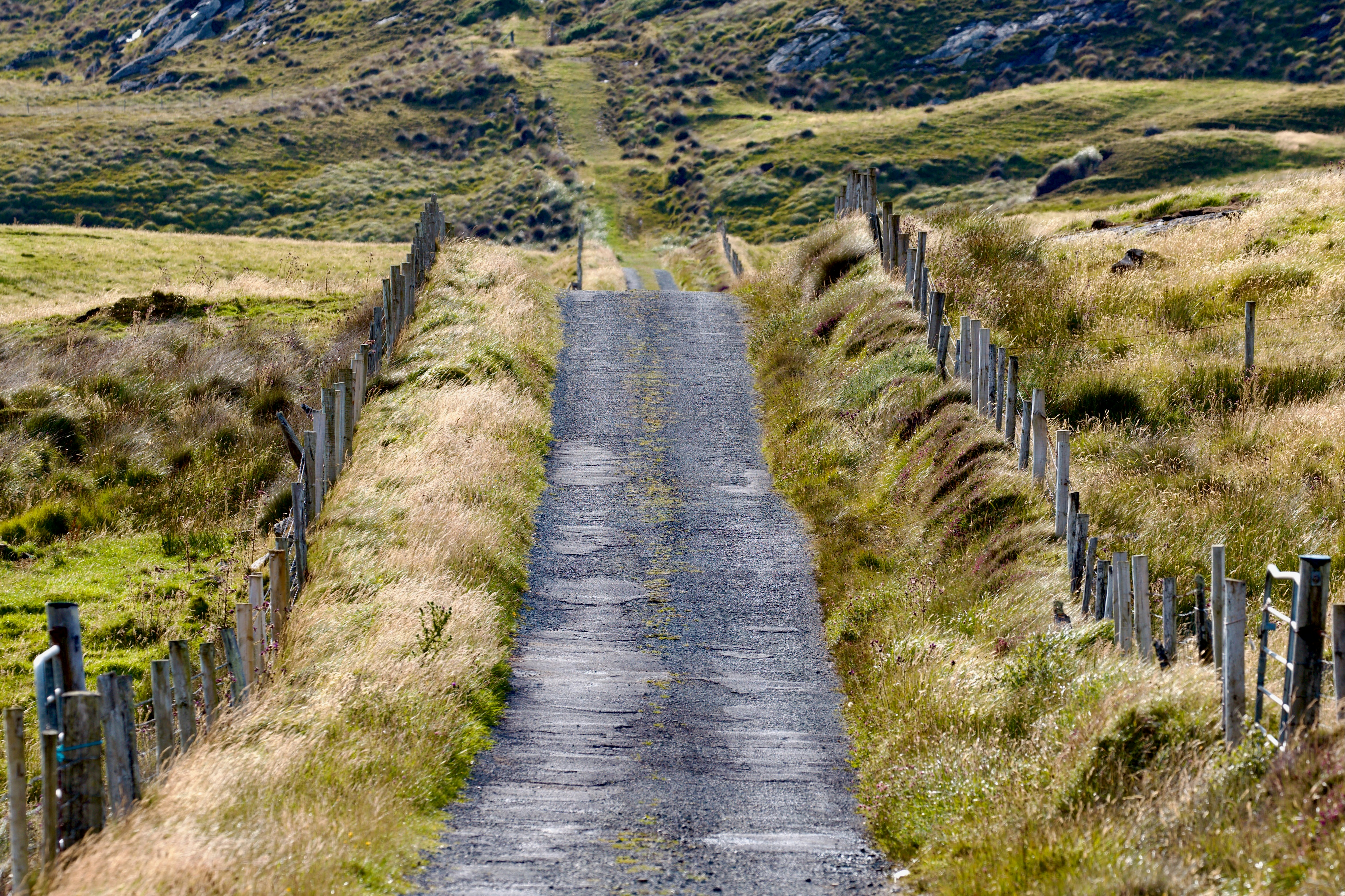 Ring of Beara scenic driving route in Ireland — photo 3