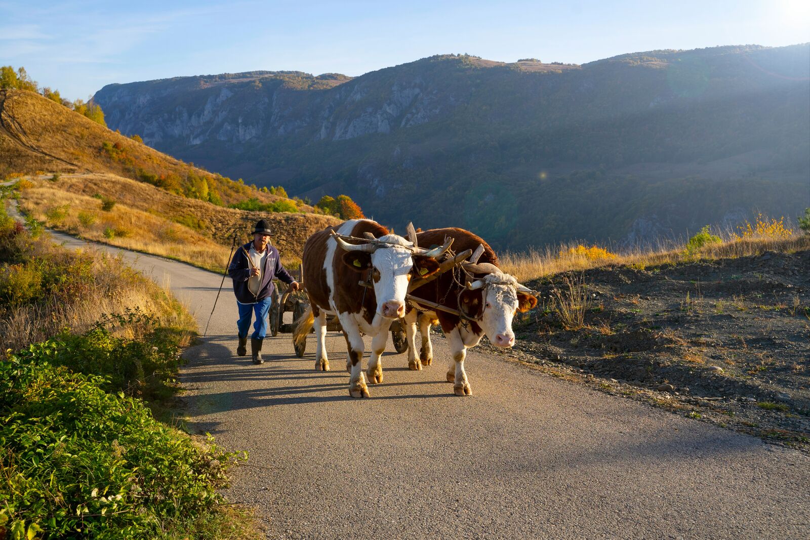Apuseni Mountains Scenic Drive scenic driving route in Romania — photo 2