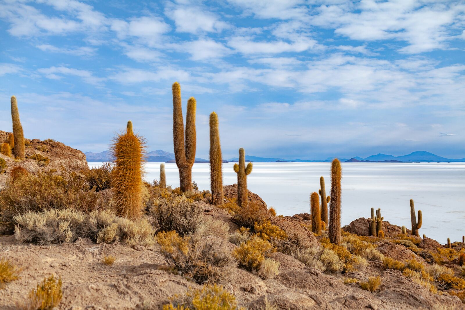 Salar de Uyuni High Altitude Scenic Drive scenic driving route in Bolivia — photo 2
