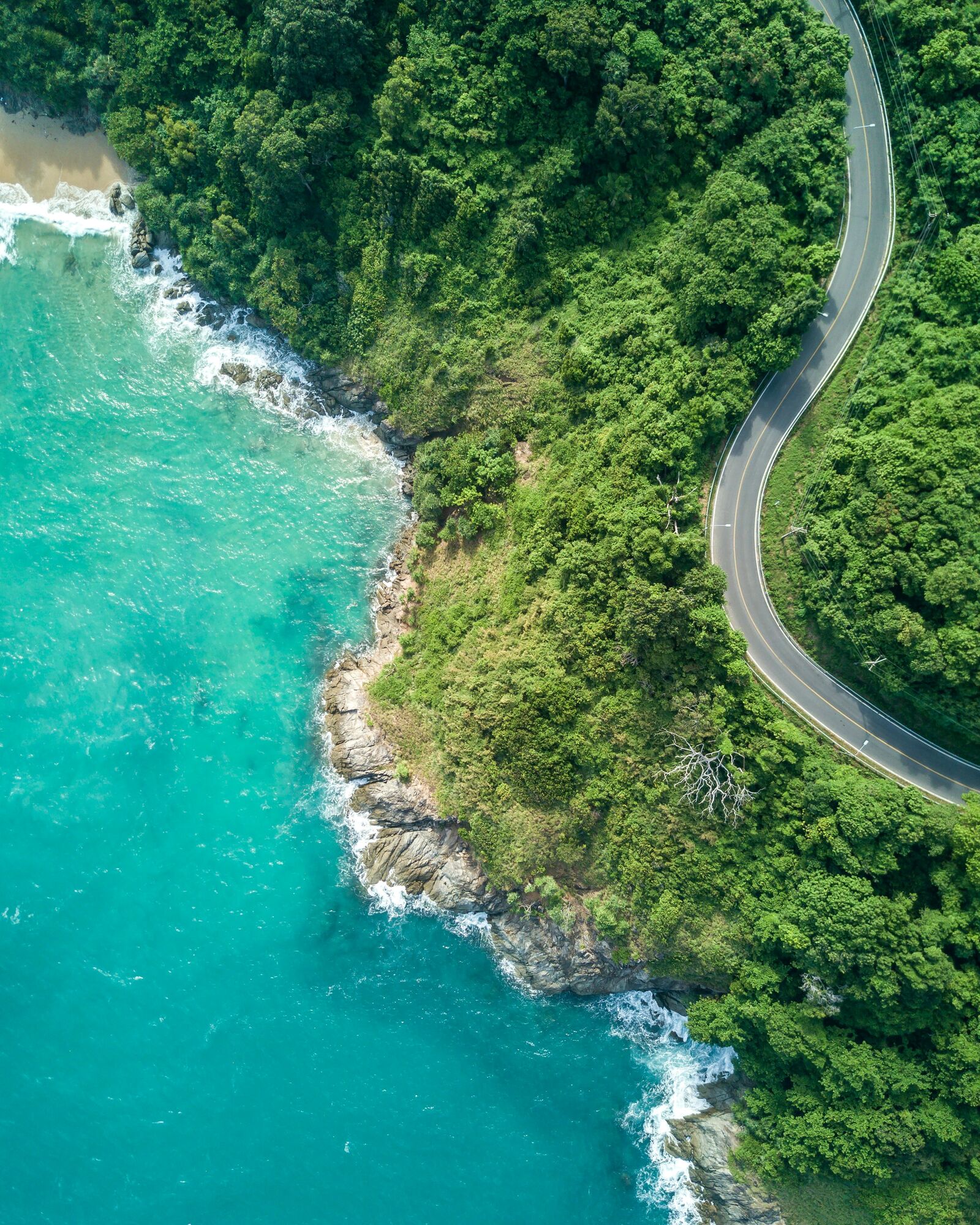 Coastal Drives