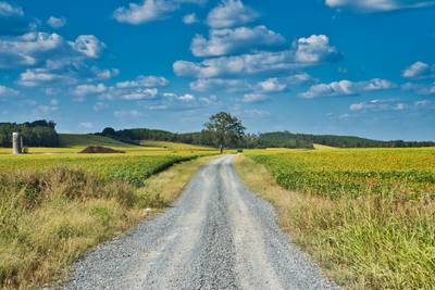 countryside